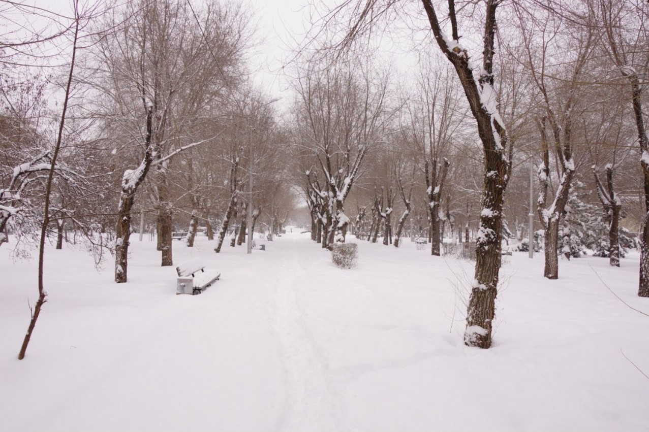 Погода и климат Волгограда