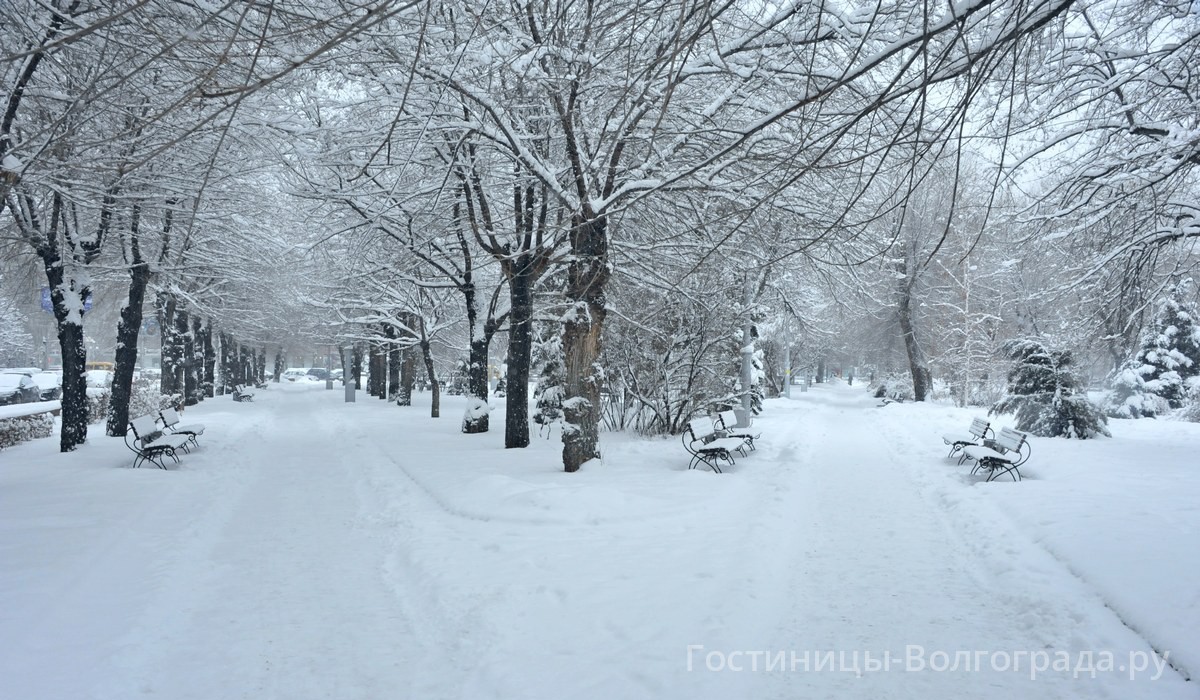 Зимний Волгоград. Интересные места в Волгограде